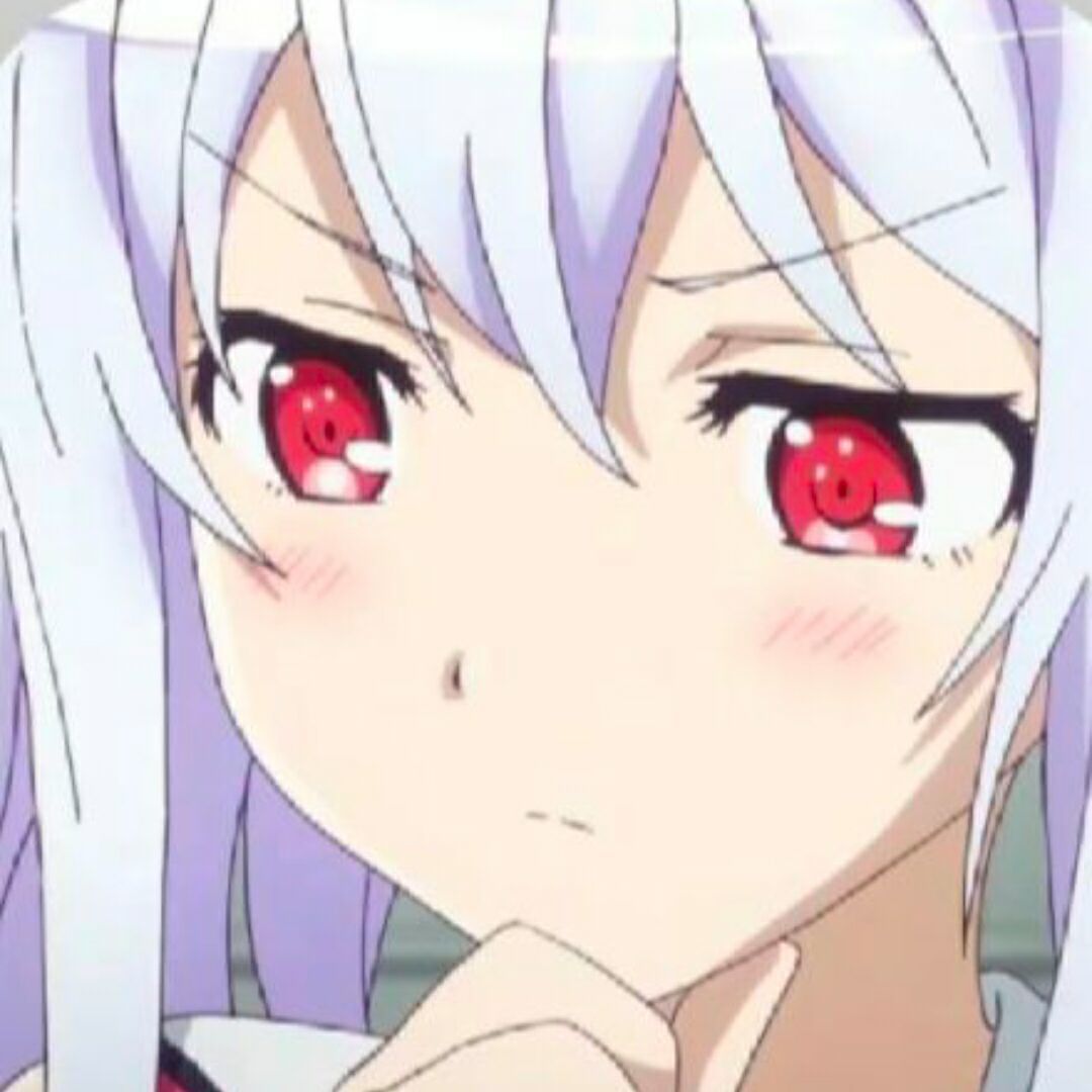 qyyy